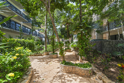 Stroll through a lush tropical garden with winding paths, vibrant flowers, and shady trees. Perfect for guests seeking a serene, nature-filled retreat!
