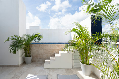 Enjoy a refreshing swim in this private pool surrounded by palm trees, where modern architecture and tropical charm create a peaceful space for rest, style, and connection with nature.