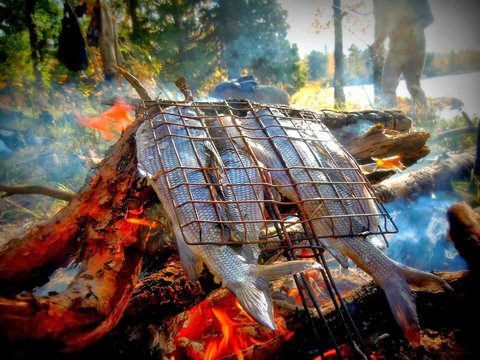 Fresh fish on open fire