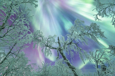 Northern lights