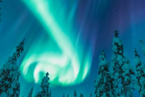 Snowy forest with northern lights