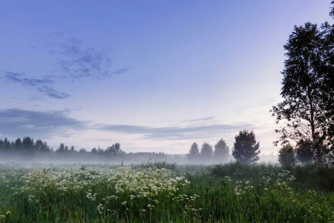 Morning has broken