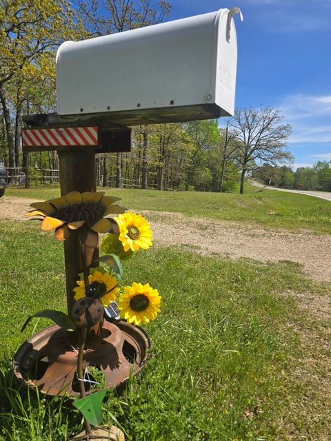 Mailbox with Sunflowers