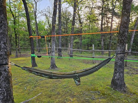 Hammock and Slackline
