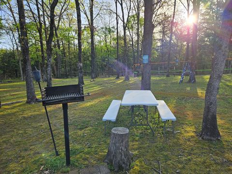 BBQ Grill and Picnic Table
