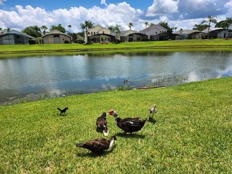 A pond that's steps away from my home.