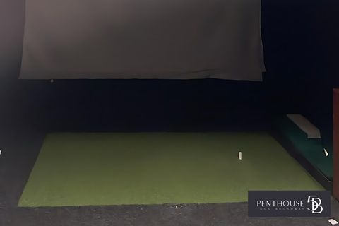 Common Area - Virtual Golf Room