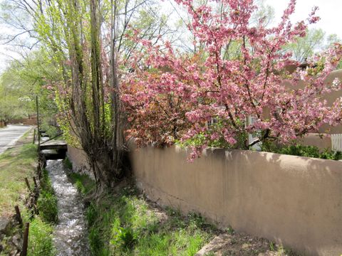 Spring on the Eastside