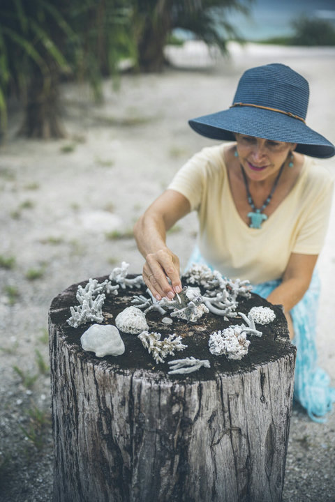 Let me arrange these corals properly
