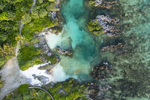 Our natural swimming pool