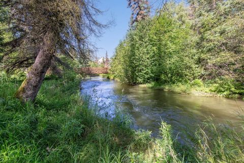 Chinook and Silver salmon, Rainbow Trout and Dolly Varden all live in Campbell Creek.