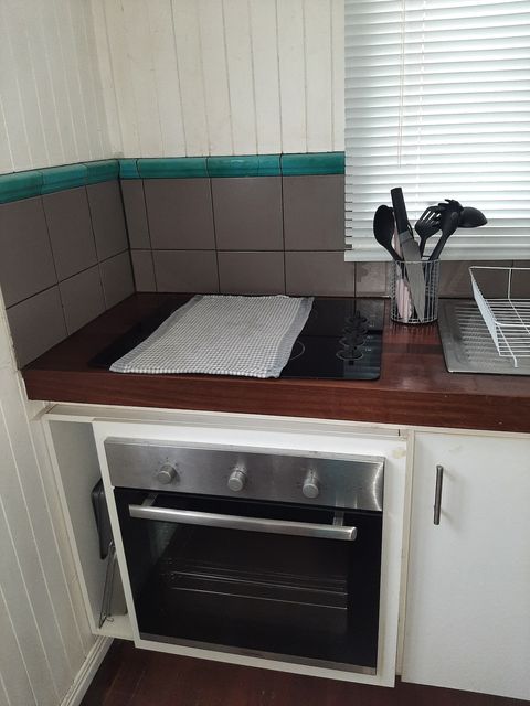Oven and electric stove
