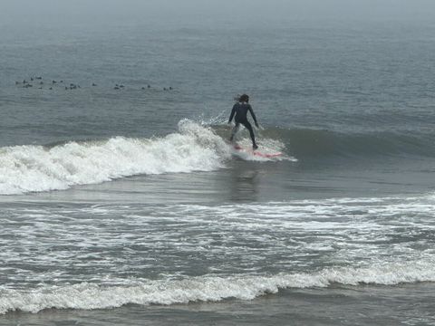 A popular surfing spot