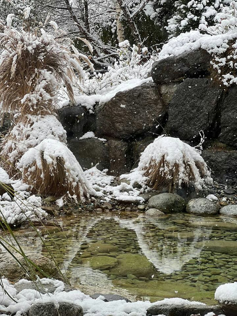 Winter Wonderland View! ❄️ Experience the enchanting Swiss snowfall from the warmth and comfort of your bedroom window. The garden pond and rock features are transformed into a serene Alpine scene. Perfect for a cozy, festive Swiss Dream Living