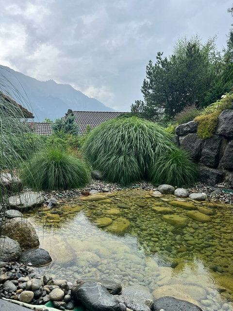Natural Alpine Bio-Pond.  Water flows directly from a natural stream high in the Swiss Alps into this pristine garden pond. Experience unparalleled tranquility and natural beauty at Chalet Swiss Dream