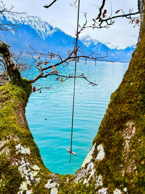 Turquoise Lake Magic!  Discover the stunning, vibrant waters of Lake Brienz, framed by mossy Alpine trees. This unique view sells the local charm and natural beauty just moments from your chalet. Embrace the adventure of Swiss Dream Living.