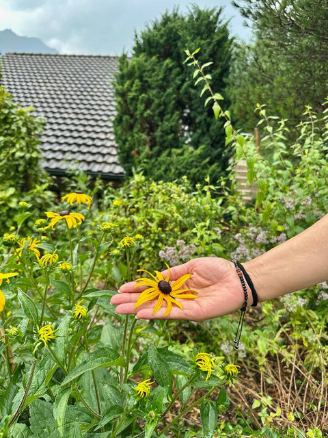Blossoming Swiss Dream Garden.  Enjoy the vibrant colors and fresh air of the meticulously maintained private garden. Experience the beauty of the Swiss Alps landscape right outside your door, especially during the stunning spring season.