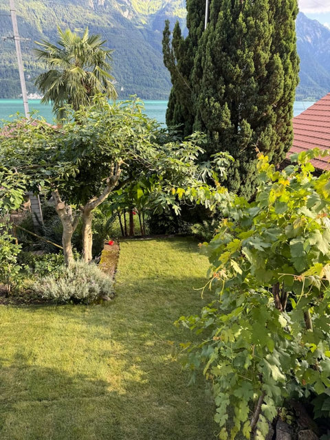 Well-kept private garden with plenty of space to unwind