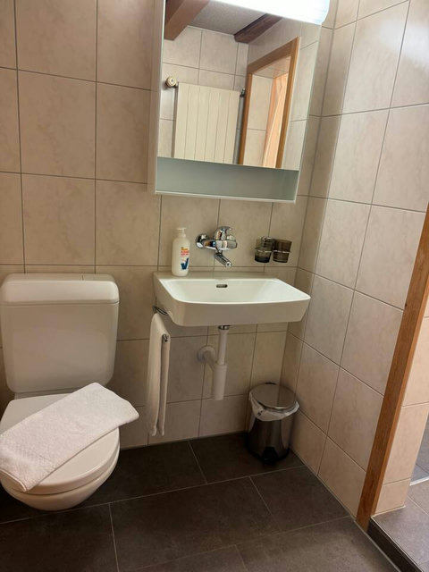 Spotless modern toilet area with thoughtful storage and natural wood finishes