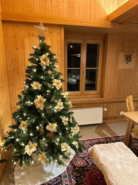 Charming chalet living space with festive ambiance