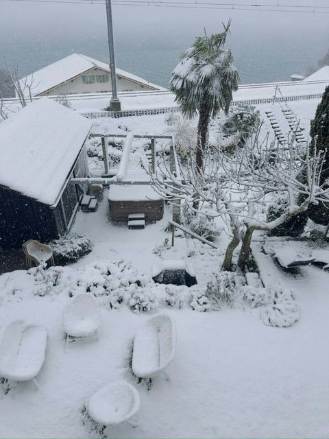 Winter wonderland overlooking Lake Brienz ✨