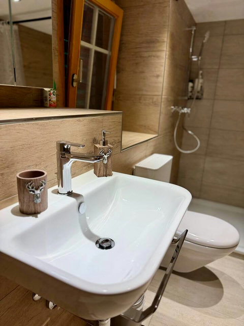 Elegant bathroom vanity with modern sink, large mirror and premium fixtures
