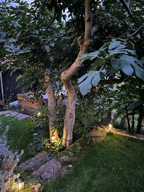 Cozy garden corner beautifully lit for relaxed evenings