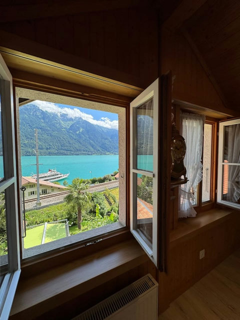 Scenic Lake Brienz view from the property