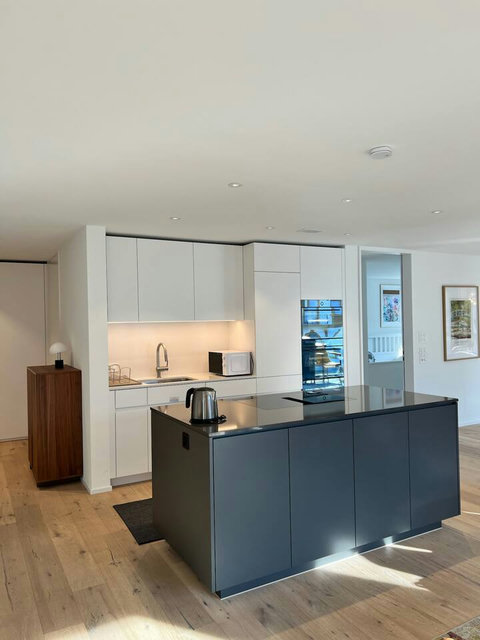 Luxury kitchen