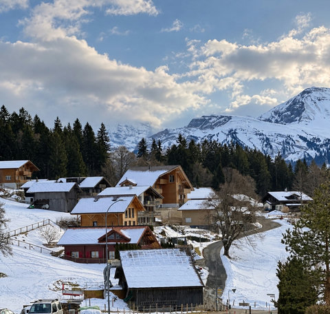 beatenberg chalet snow