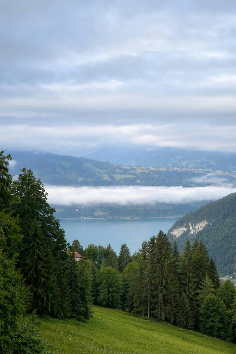 lake thun view