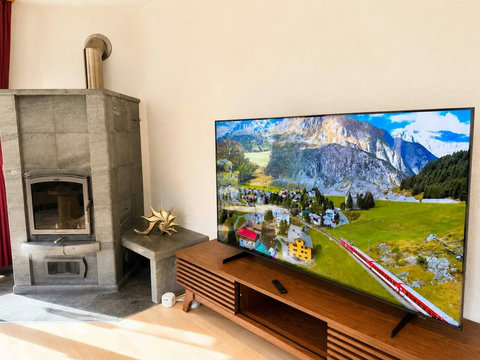 fireplace and tv manor 2