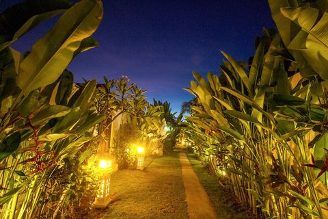 Entrance corridor is full of green and seems infinity. Absolutely instagrammable place!