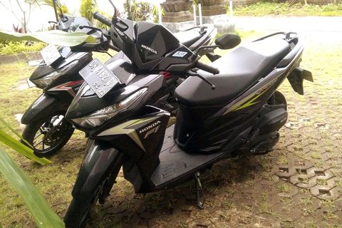 And you can rent a scooter for easy area moving.  As a scooter is a MUST in an area, please let us know at least 24hrs prior to your stay you want to rent from us. Otherwise, we might not be able to arrange it.
We have Honda Vario/Scoopy/Spacy/Beat.