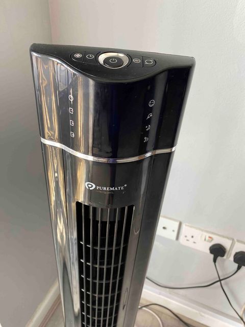 Fan