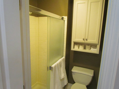 Master shower