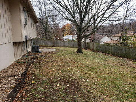 Left side of fence and yard