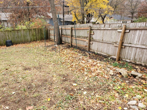 Right side of fence