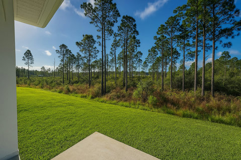 Expansive green lawn framed by tall pines
