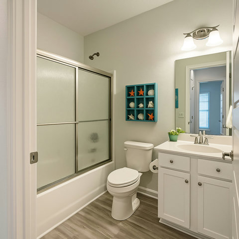 Coastal bathroom with seashell accents