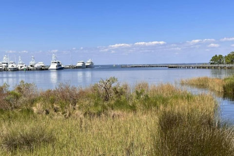 Scenic marina and pier across coastal marsh