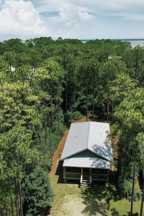 Secluded cottage clearing among towering pines