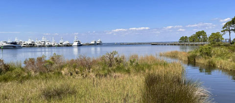 Peaceful marina and marsh under blue skies