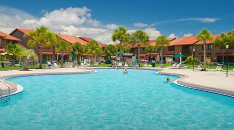 Sparkling resort pool with palm trees and lounge chairs