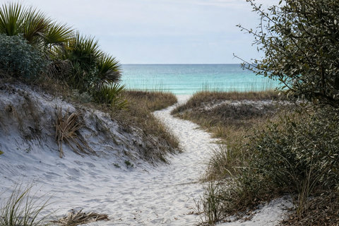 White sand dune path to turquoise Gulf water