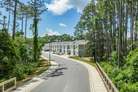 Wooded townhome street under tall pines
