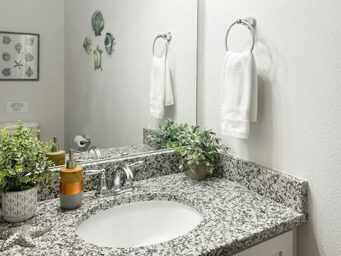 Bath vanity with starfish decor and shell artwork