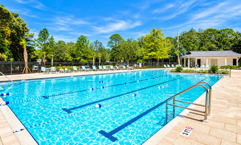 Resort Lap Pool