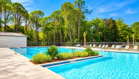 Resort Pool with Tropical Landscaping