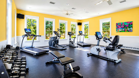 Sunlit Modern Gym Interior
